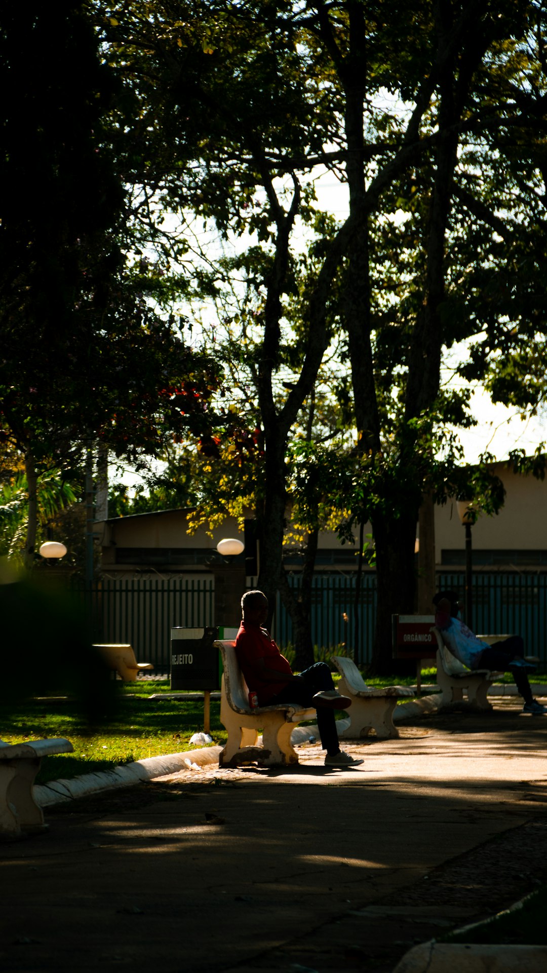 man-in-red-shirt-sitting-on-bench-near-tree-during-daytime-cekza-cql8o